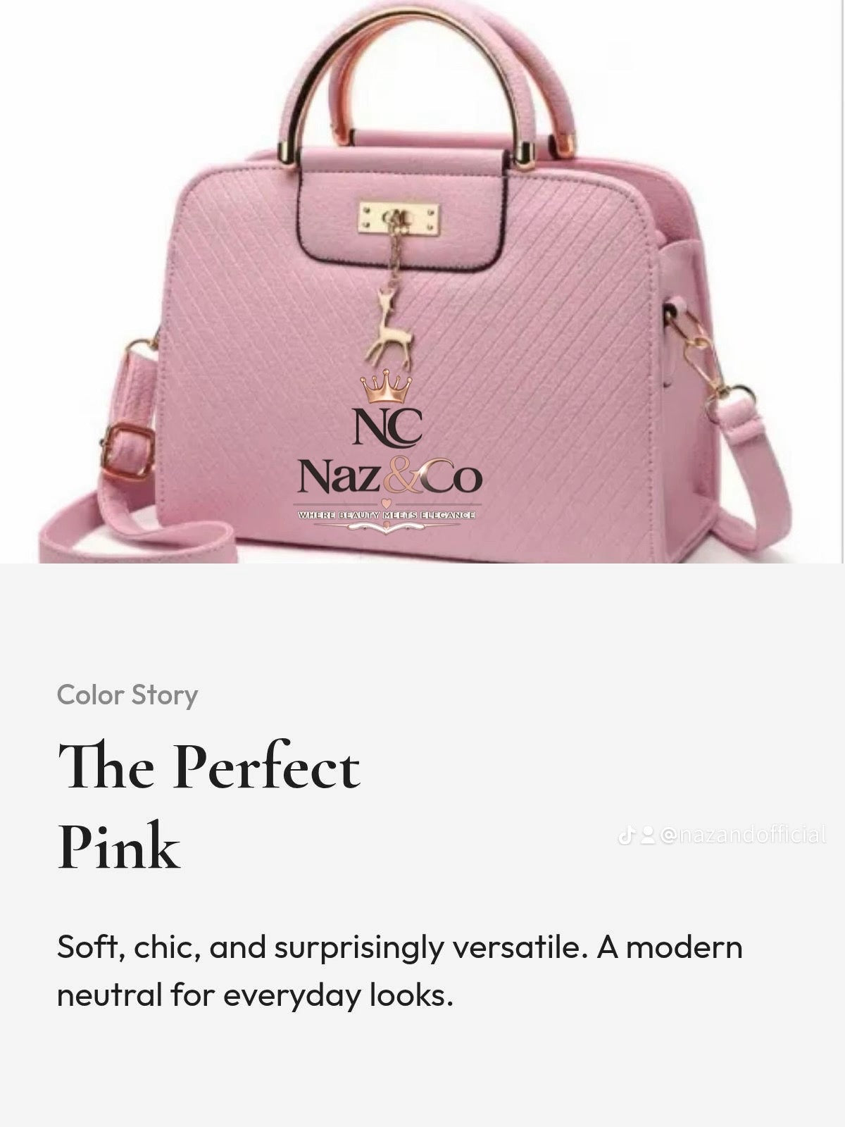 Signature styles bag for women 2026